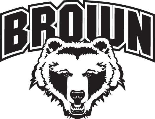 Brown Bears 1997-Pres Alternate Logo diy iron on heat transfer